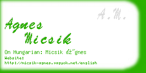 agnes micsik business card